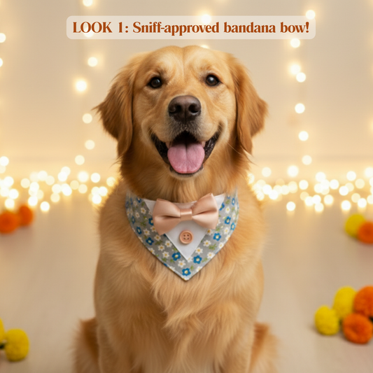 happietail Luxe 3-in-1 Interchangeable Bow Collar Set | Instant Style & Comfort for Your Pet