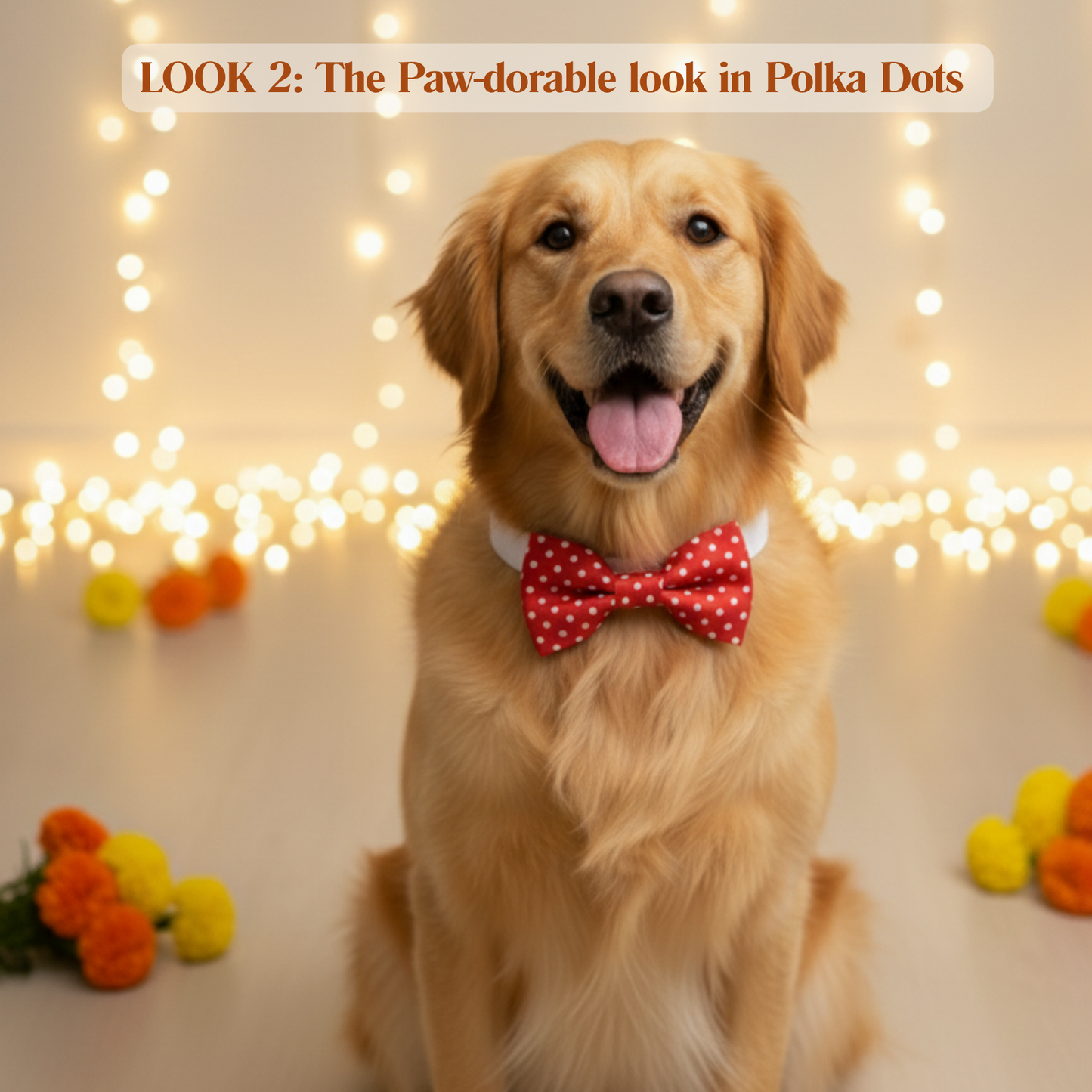 happietail Luxe 3-in-1 Interchangeable Bow Collar Set | Instant Style & Comfort for Your Pet