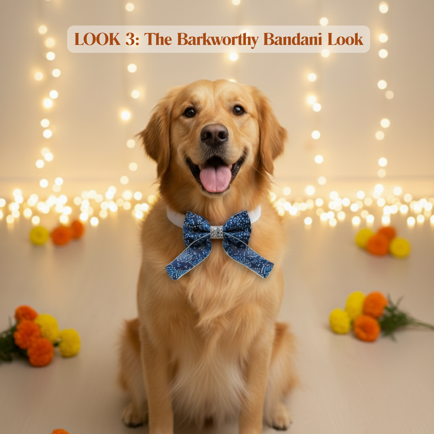 happietail Luxe 3-in-1 Interchangeable Bow Collar Set | Instant Style & Comfort for Your Pet