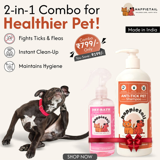 The Outdoor Explorer Pack (500ml + 300ml)