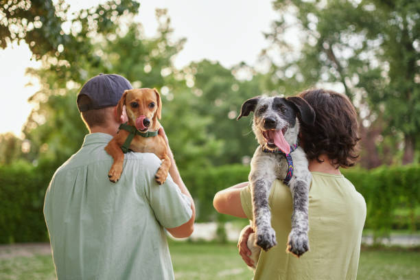 Is Your Pet Healthy? Signs of a Happy & Healthy Pet