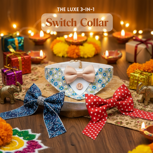 happietail Luxe 3-in-1 Interchangeable Bow Collar Set | Instant Style & Comfort for Your Pet