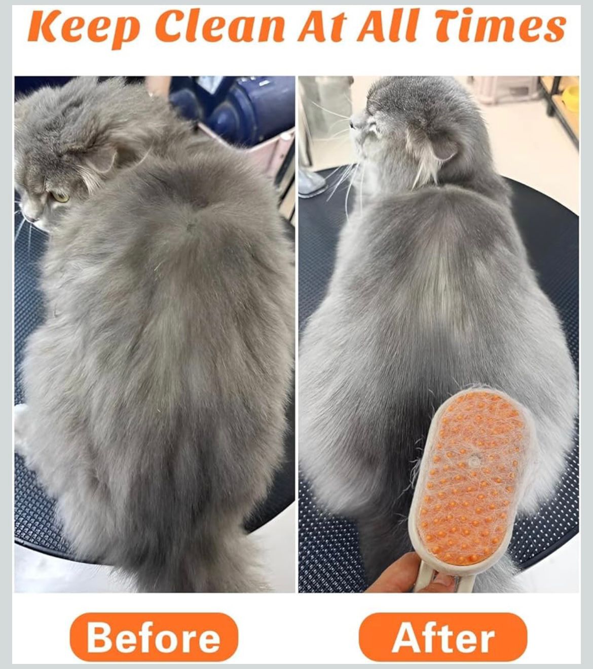 Winter Care Combo – Dry Bath + Grooming Steam Brush